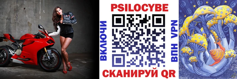 Купить закладки Хасавюрт Галлюциногенные грибы мицелий
